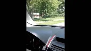 Deblin the deer - part 2
