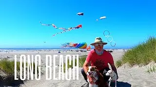 Exploring the Long Beach Peninsula - Dog Friendly Travel