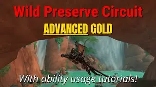 ADVANCED GOLD - Wild Preserve Circuit - The Waking Shores - Dragonflight WoW Racing Series