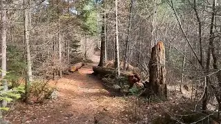 Portage - Duncan Lake to West Bearskin Lake in the BWCA