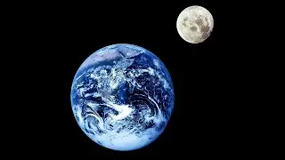 Why Does The Moon's Gravity Cause Tides On Earth But The Sun's Gravity Doesn't?