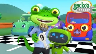 Gecko’s Vehicle Olympics | Gecko's Garage 🚚 | Cartoons For Kids | Toddler Fun Learning