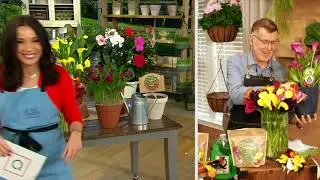 Roberta's 6-Piece Calla Lily Live Bulbs with Fertilizer on QVC