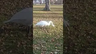 Live Winter Walk ❄️ Cold Weather, Sunny Mood 
