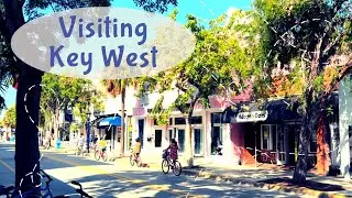 Key West Cruise Port Guide Shore Excursion Dolphins Snorkeling Drinks Food Duval Street Sloppy Joes