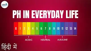 Acids Bases and Salts - Lesson 16 | pH in Everyday Life! - in Hindi (हिंदी में ) | Don't Memorise
