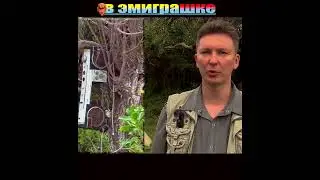 КРУШЕНИЕ 