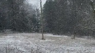 #Snow fall LIVE @nb2010-1 LNB_blog