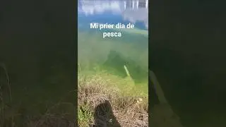Mi primera vez pescando #fishing #fish #carpfishing #pescando #pesca #pescariadecarpa.