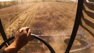 Уборочная 2022 года.