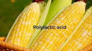 HONORABLE MENTION AWARD: (SciVid 2018-M) 3D printed rigid biodegradable oil absorbents