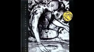 FISH - Songs From The Mirror 1993 full album