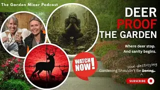 Deer Proofing Your Garden: Where Deer Stop and Sanity Begins