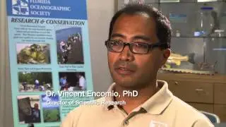 Florida Oceanographic Society - Inspiring Environmental Stewardship
