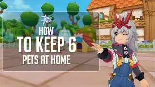 How to Keep 6 Pets at Home! &ndash; Ragnarok M Eternal Love