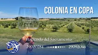 Hacienda del Sacramento: Vinos de Autor en Colonia