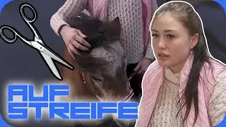 “Wer hat mein Pony verschnitten?” Reiterin ist sich sicher: Das ist Sabotage! | Auf Streife | SAT.1