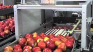 Apple Tray Pack line