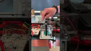 MECH 6970 - Digital Control of Inverted Pendulum - Potentiometer/300Hz