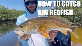 How To Catch Redfish Fishing In Tampa Bay With LIVE Pinfish