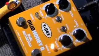 T-Rex Mudhoney 2
