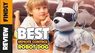The Best Remote Control Robot Dog (2022 Reviews) - Review Findly