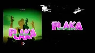 MR KLEEN - FLAKA (COVER)