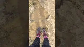 Dinosaur Footprints in Dorset!! 🇬🇧 #dinosaur #geology #science #fossils