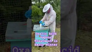 Oxalic Acid Vapour Treatment in Early Winter #shorts #beekeeping #beekeeper