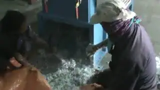 plastic Scrap grinding machine