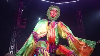 🎪🦜💃🕺 UniverSoul Circus 2019 🦜🦩✨ Caribbean Fusion Performance at Washington Park, Chgo. Il.