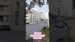 Осень в Мёнхенгладбахе #germany #m&ouml;nchengladbach #германиясегодня