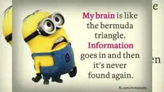 Funniest minion quotes😂😂😂
