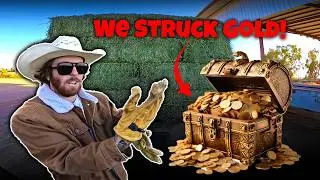 Hand-Stacking 72 Hay Bales: Will Our Backs Survive? (Wrong Way & GOLD!)