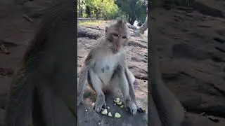 Большой осенний забег в два этапа