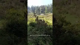 Qayamat ka din Aur insaaf ka TARAZOO