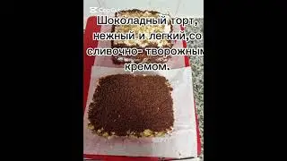 Шоколадный торт, нежный и легкий, со сливочно- творожным кремом.