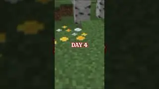 Unique speedrun ||DAY4||#minecraft #speedrun #shorts