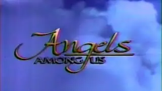 Angels Among Us (True Angel Stores)