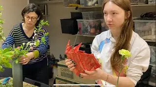 🌸 Vlog #96. Ikebana, resina epóxica