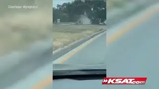 Truth behind viral video of SA driver crashing into light pole