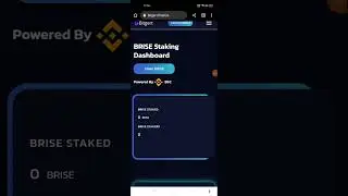 This Crypto Staking will be the most profitable stake || Bitgert Brise Stake | How to Stake Bitgert