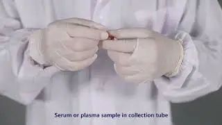 Chemtrue One-Step HCV Antibody Test video