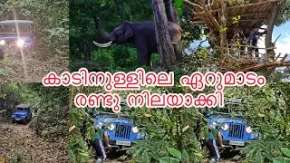 കാട് അല്ലെങ്കിലും എത്ര കണ്ടാലും മതിവരില്ല 😍