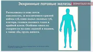 Гипергидроз – проблемы и решения