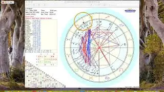 Scorpio Full Moon | May 7th 2020 | Natural Activations