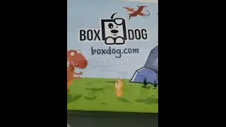 BOXDOG UNBOXING! The Best Dog subscription box?? You decide!!!
