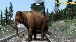 crazy elephant stops the train