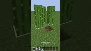 Minecraft logic is weird...  #shortsminecraft #meme #shorts #tiktok