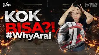 Kenapa Arai Banyak Penggemarnya Di Seluruh Dunia?